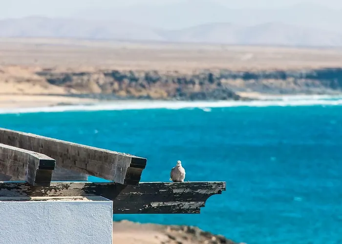 Apartamento Ocean Vista